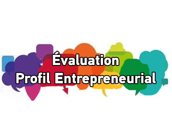 profil entrepreneurial 2